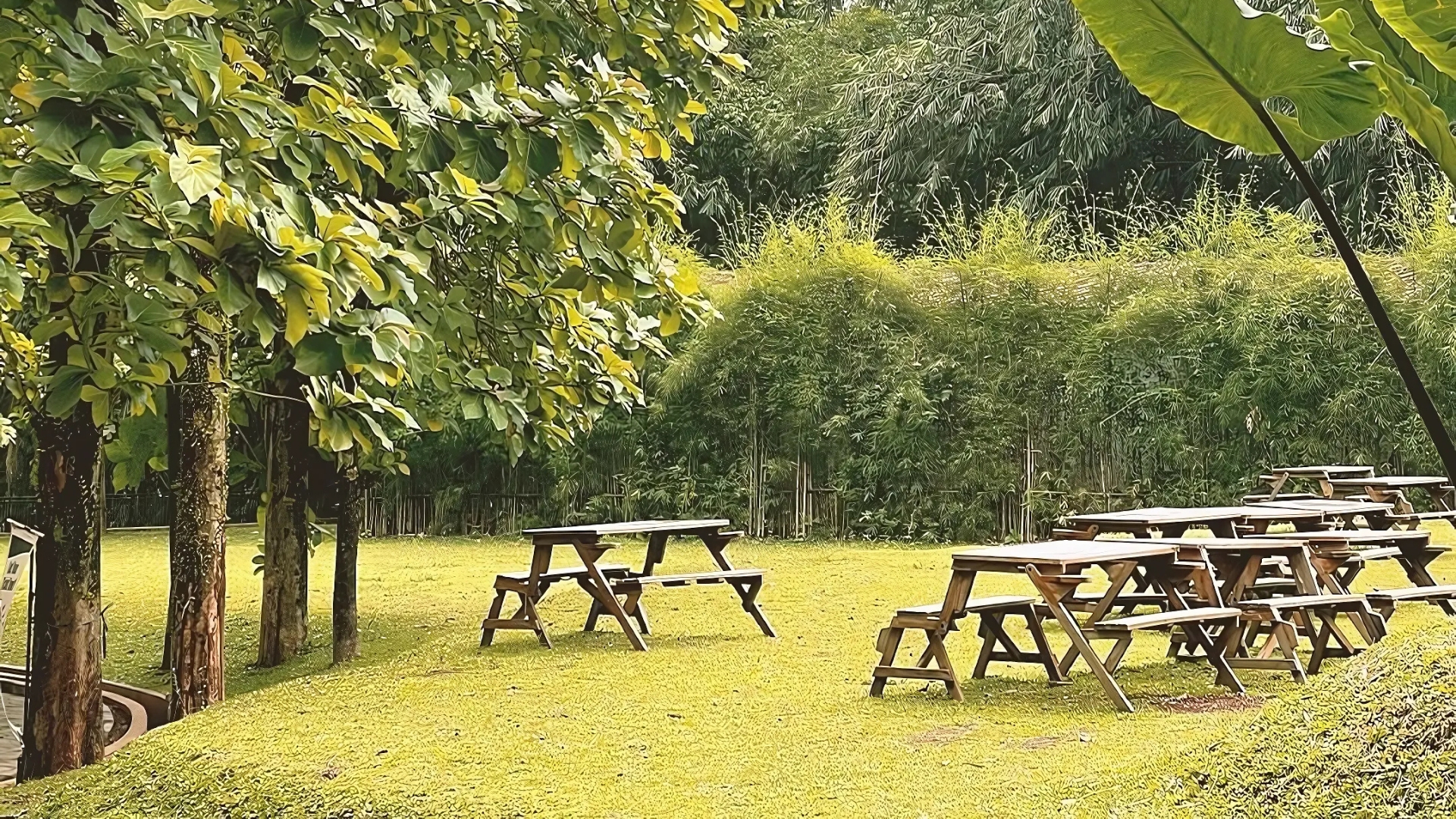 <span>Bandar Kopi</span>