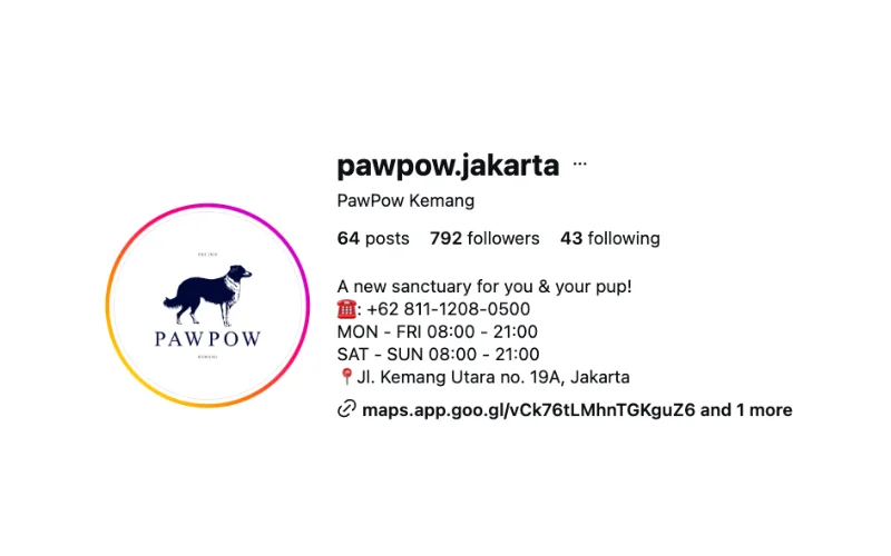 <span>PawPow Kemang</span>