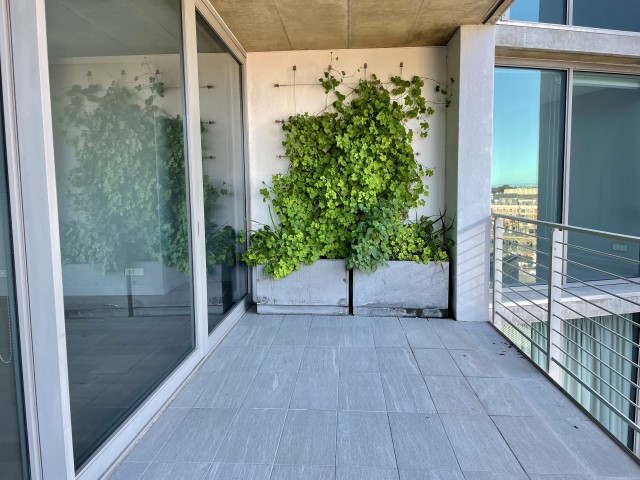 Insolvent Estate Henka Familie Trust - Executive Apartment - No. 3 Silo - Waterfront thumbnail 32
