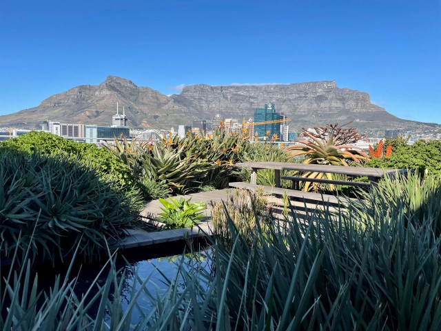 Insolvent Estate Henka Familie Trust - Executive Apartment - No. 3 Silo - Waterfront thumbnail 11