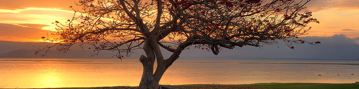 upscaled-2x-resized_d4972f2f-2c5e-4144-83c7-638127cba0e8_2