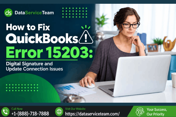 QuickBooks Error 15203 - DST