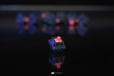 8008 Ink Switches (10 pack)