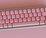 ePBT Blank Pink