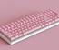 ePBT Blank Pink