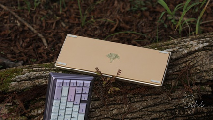 Ginkgo65 Pro - Champagne x Gold case & PVD Prism logo & HS flexcut PCB [GB]