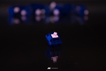 Devoted Switches (10 pack)