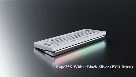 Hope 75 X Premium - White-Black Brass Silver