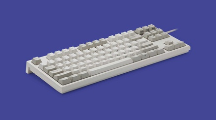 Realforce R2 Ivory 55g