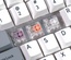 Hako True Mechanical Switches 120 pack