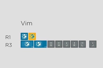 SA Symbiosis - VIM