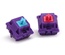 Laser switches (Cyan) 60g (10 pack)