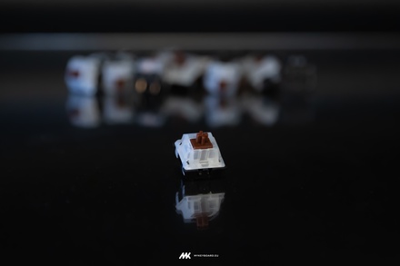 Gateron Brown Switches (10 pack)