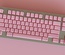 ePBT Blank Pink