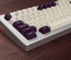 SA Violet on Cream