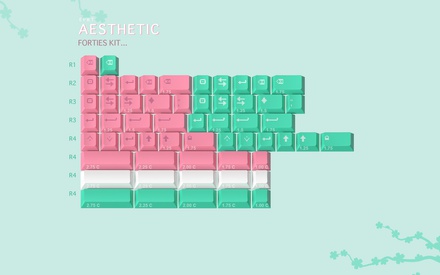 ePBT Aesthetic 40s/Ortho