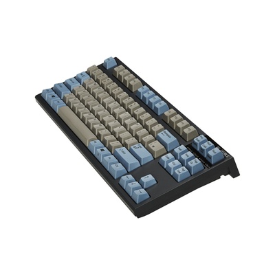 Realforce R2TL Gray/Blue Standard 45g