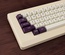 SA Violet on Cream