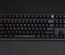 Zoom TKL EE Carbon Fiber [Pre-order]