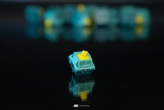 Baltic Switches (10 pack)