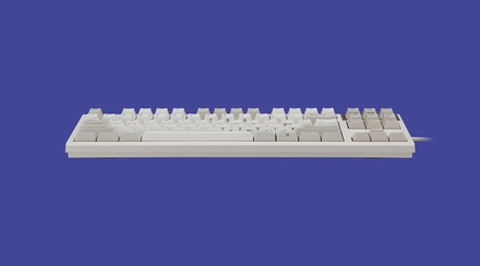 Realforce R2 Ivory 55g