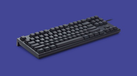 Realforce R2 Black 55g