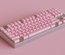 ePBT Blank Pink