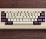 SA Violet on Cream