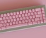 ePBT Blank Pink