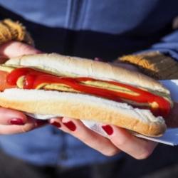 cachorro quente - hot dog - pequeno - Peter Secan