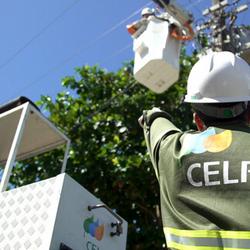 neoenergia divulgação
