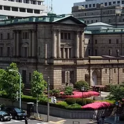 Boj - Wikimedia Comons 