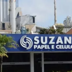 Suzano Celulose