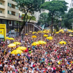 © Edson Lopes Jr / Prefeitura de São Paulo carnaval
