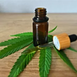 canabidiol maconha canabis unsplash