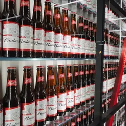 budweiser unsplash