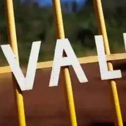 Vale - Divulgação 