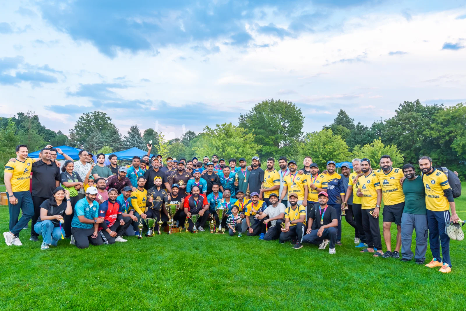 MG Cricket 2026