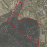 Klaipėdos apskr. 19.6 ha