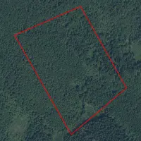 Utenos apskr. 10.1 ha