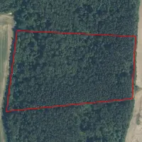 Panevėžio apskr. 4.4 ha