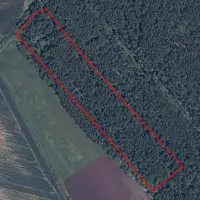 Alytaus apskr. 4.8 ha