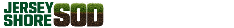 Point Pleasant and Brick Sod Installation and Irrigation Company Shares Summer Lawn Tips for Ocean County Homeowners Point Pleasant and Brick Sod Installation and Irrigation Company Shares Summer Lawn Tips for Ocean County Homeowners