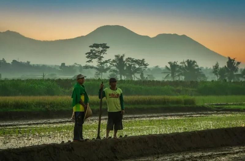 Offset 8 mengumumkan kesepakatan pertama dari Abu Dhabi untuk membiayai proyek kredit karbon Sawa senilai  juta di Indonesia