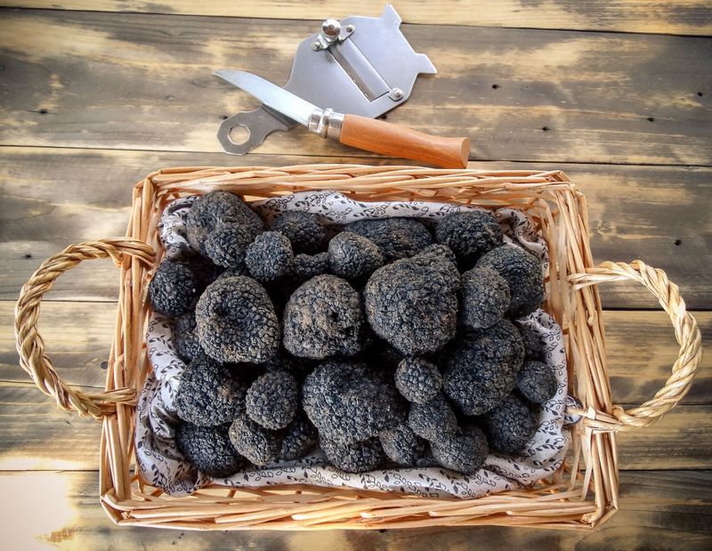 wild truffles