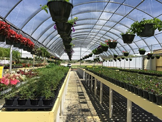 Big Spring Fall Vegetable Garden Planning & Soil Prep Support Announced Big Spring Fall Vegetable Garden Planning & Soil Prep Support Announced