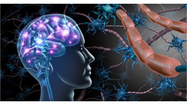 Gut-Brain Connection May Explain Anxiety and Brain Fog That Labs Miss
