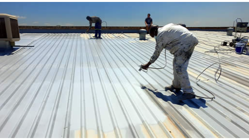 Roof Painting Wellington: Expert Services in Commercial Roof Painting