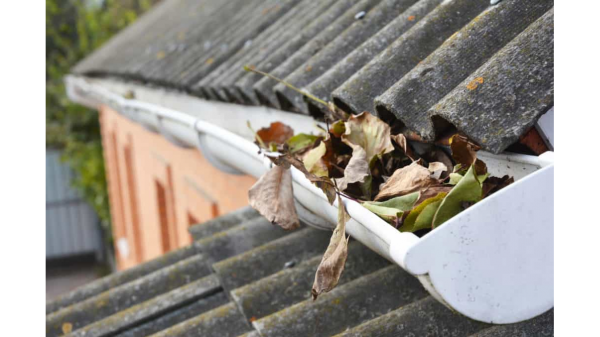 Rossford Professional Gutter Power Washing, Roof Pressure Clean Services  Launch