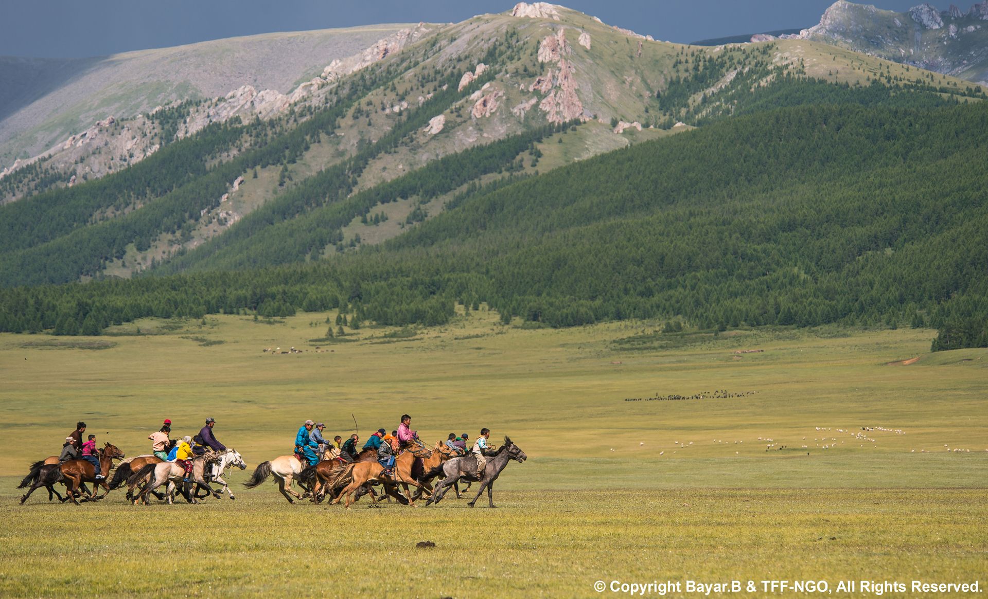 steppe-mongolia.com logo